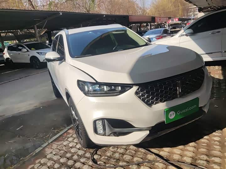 Фото 4 - Wey VV6