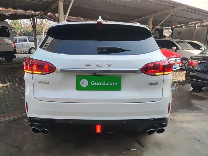 Фото 6 - Wey VV6
