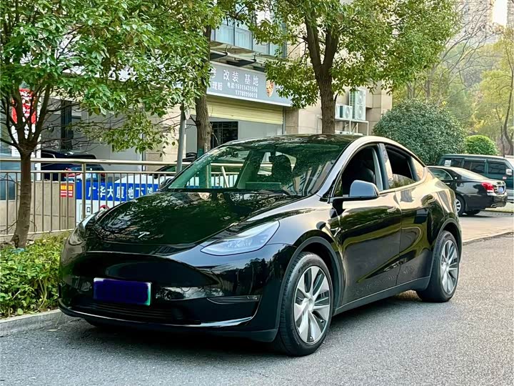 Фото 1 - Tesla Model Y