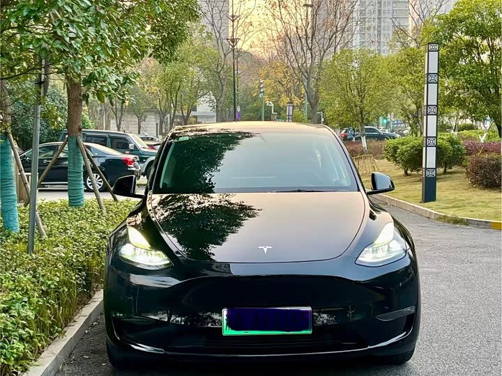 Фото 2 - Tesla Model Y