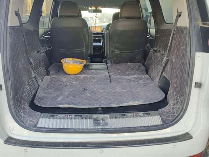 Фото 4 - Maxus G50