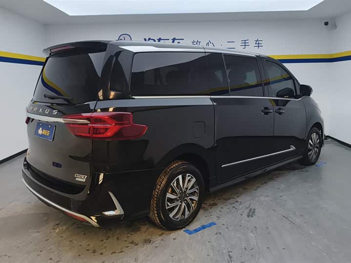 Фото 3 - Maxus G20