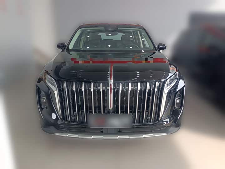 Фото 5 - Hongqi HS7 Hybrid
