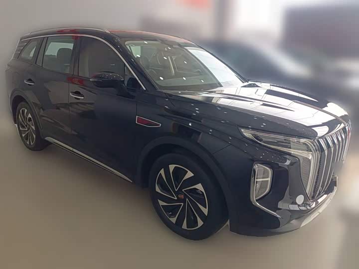 Фото 7 - Hongqi HS7 Hybrid
