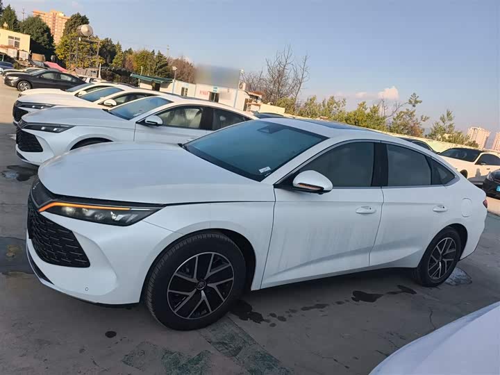 Фото 5 - BYD Qin L