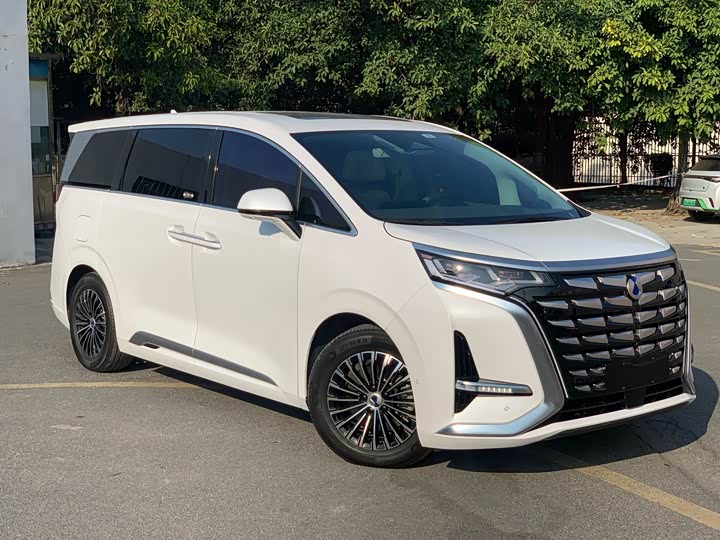 Фото 3 - Denza D9