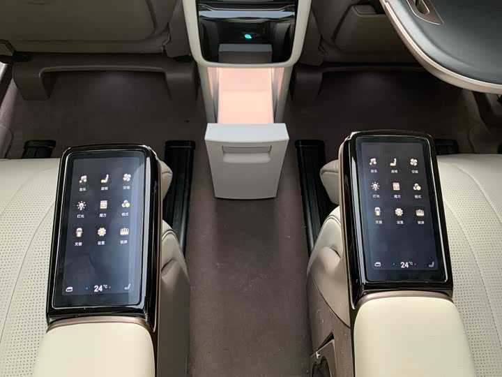 Фото 9 - Denza D9