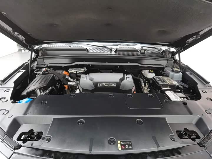 Фото 6 - Tank 400 Hybrid