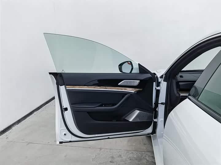 Фото 8 - Hozon S