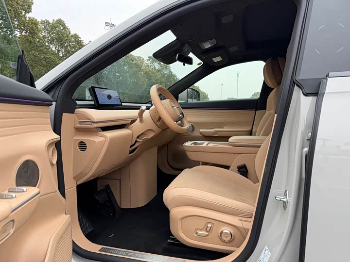 Фото 8 - Exeed Sterra ET