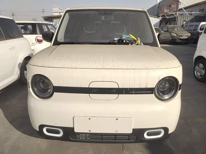 Фото 3 - Geely Galaxy Panda Mini