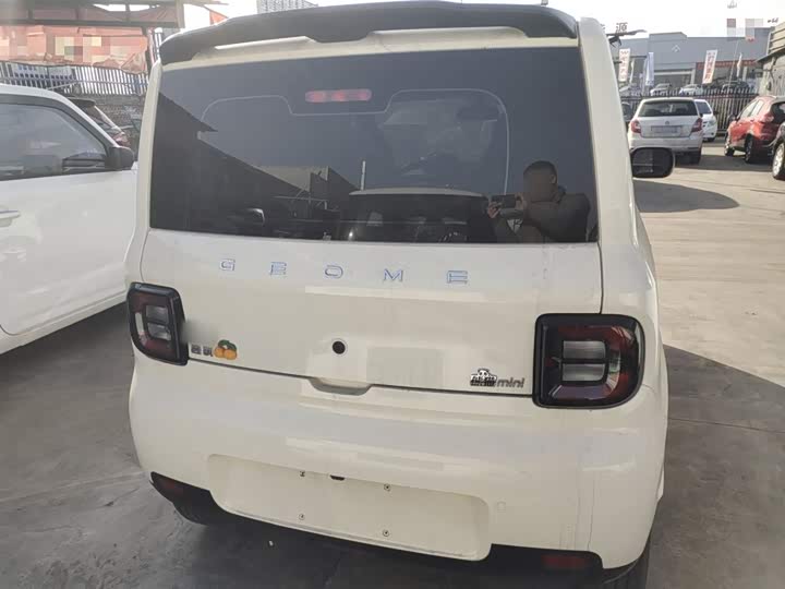 Фото 6 - Geely Galaxy Panda Mini