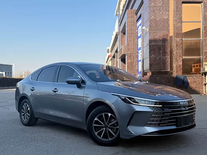 Фото 3 - BYD Destroyer 05