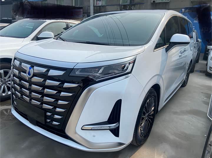 Фото 1 - Denza D9