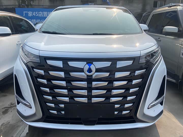 Фото 2 - Denza D9