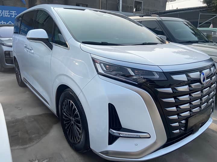 Фото 3 - Denza D9