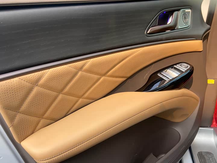 Фото 8 - Denza D9