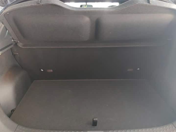 Фото 4 - BYD Dolphin