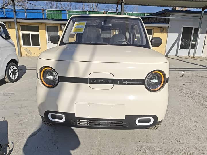 Фото 3 - Geely Galaxy Panda Mini