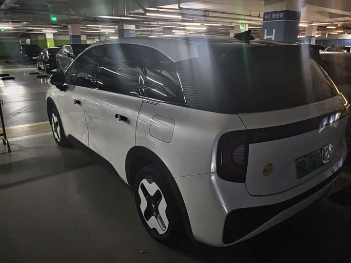 Фото 4 - BAIC Arcfox Kaola