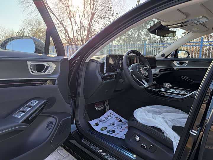 Фото 6 - Hongqi H9