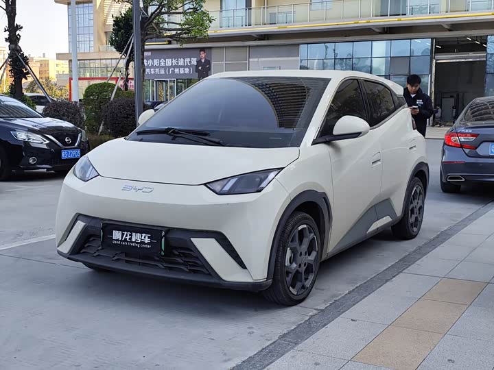 Фото 1 - BYD Seagull