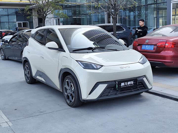 Фото 2 - BYD Seagull