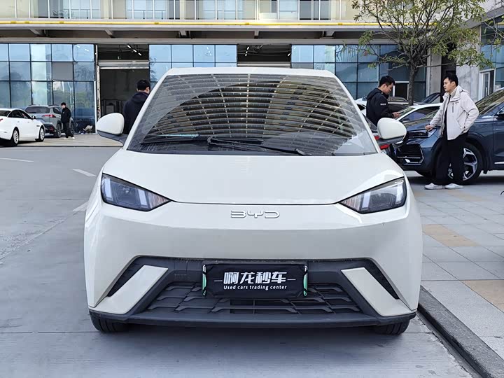 Фото 3 - BYD Seagull