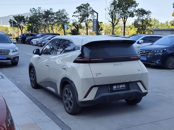 Фото 9 - BYD Seagull