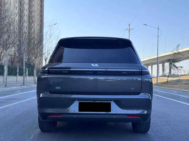 Фото 8 - LiXiang L8