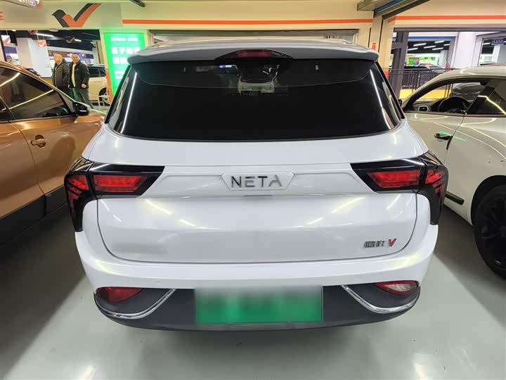 Фото 6 - Hozon V