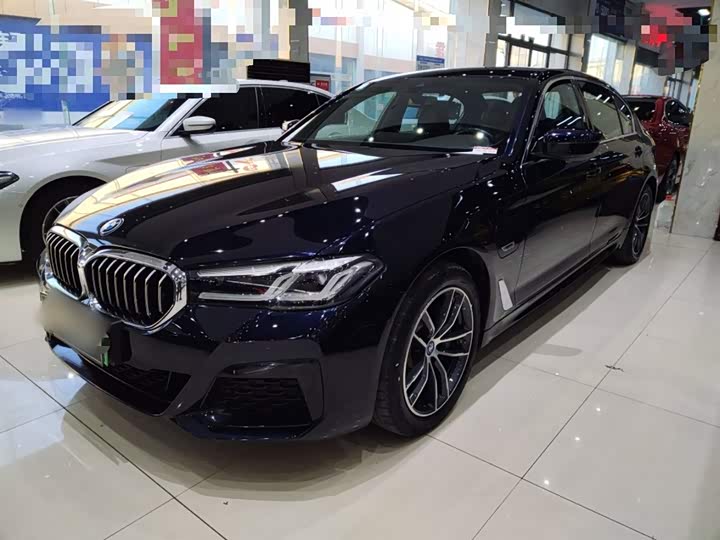 Фото 1 - BMW 5 Series Hybrid