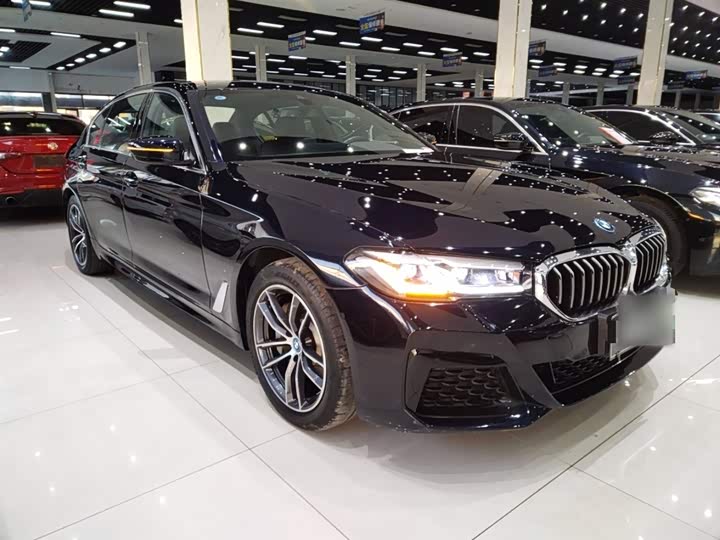 Фото 4 - BMW 5 Series Hybrid