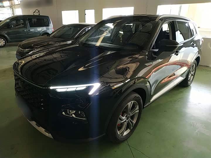 Фото 2 - Ford Equator Sport