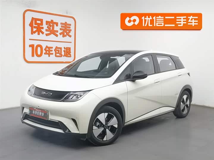 Фото 1 - BYD Dolphin