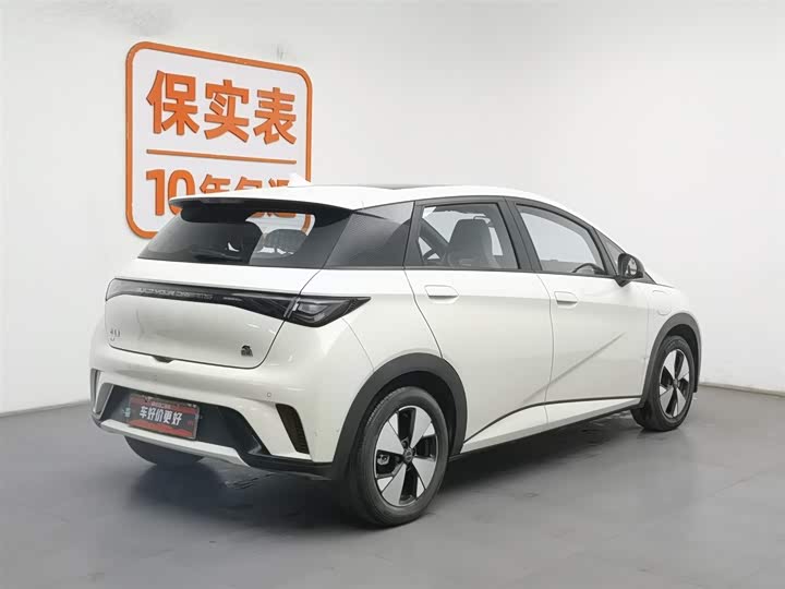 Фото 2 - BYD Dolphin