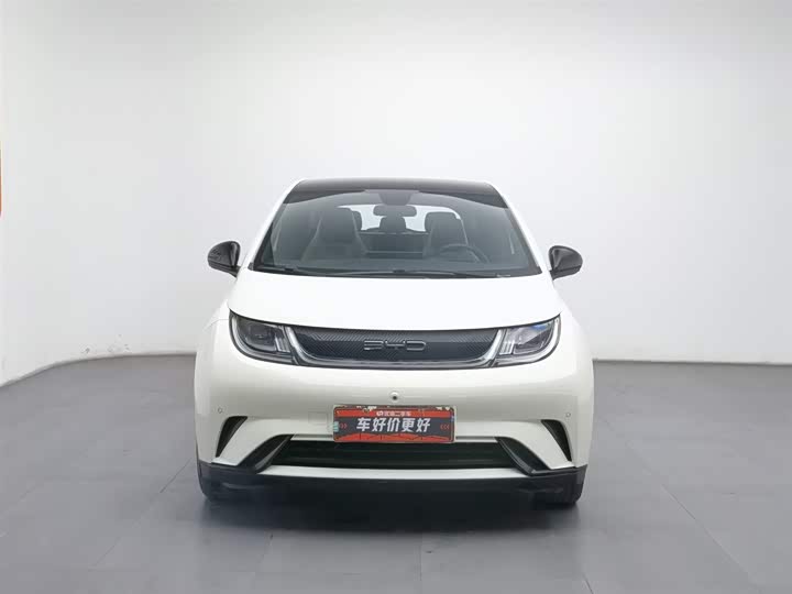 Фото 3 - BYD Dolphin