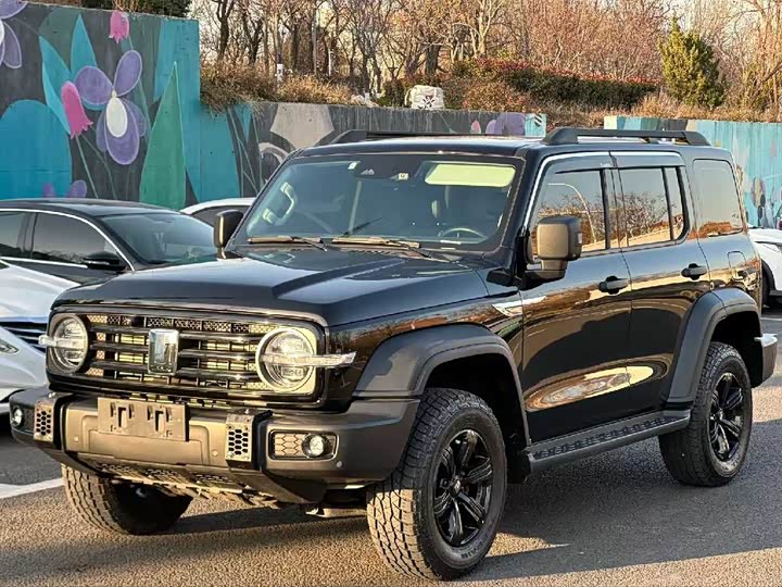 Фото 1 - Tank 300