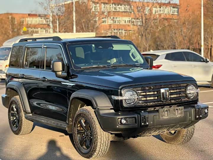 Фото 3 - Tank 300