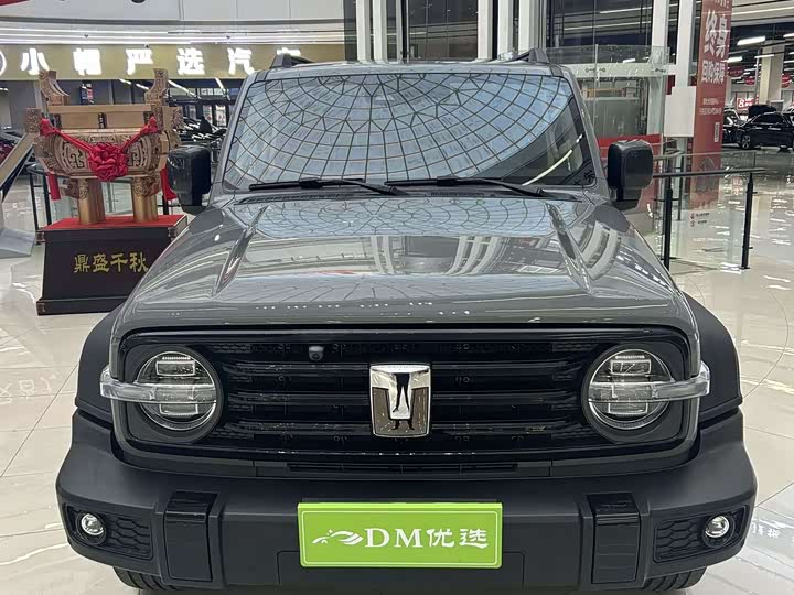 Фото 2 - Tank 300