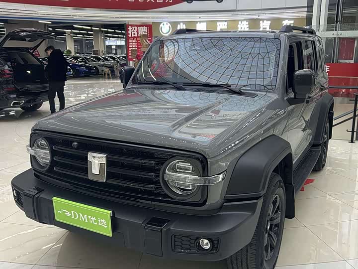 Фото 3 - Tank 300