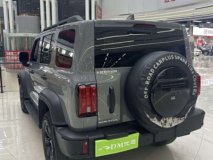 Фото 7 - Tank 300