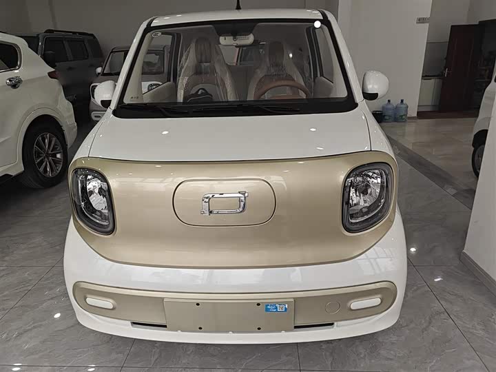 Фото 3 - Bestune Pony