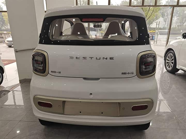 Фото 6 - Bestune Pony