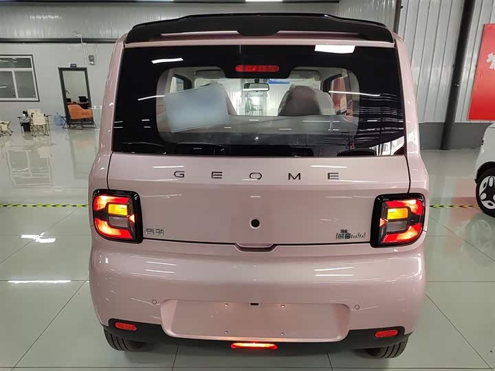 Фото 6 - Geely Galaxy Panda Mini