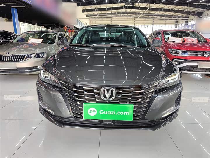 Фото 3 - Changan Raeton CC