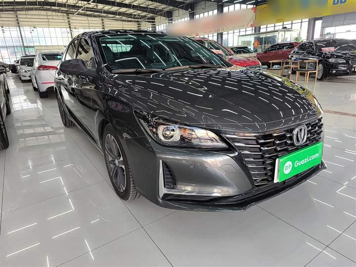 Фото 4 - Changan Raeton CC