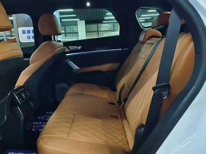 Фото 5 - BYD Tang Hybrid/EV