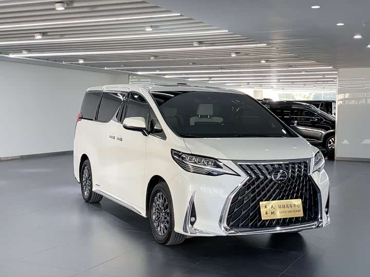 Фото 3 - Lexus LM