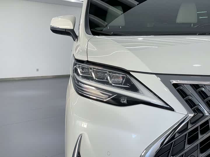 Фото 4 - Lexus LM